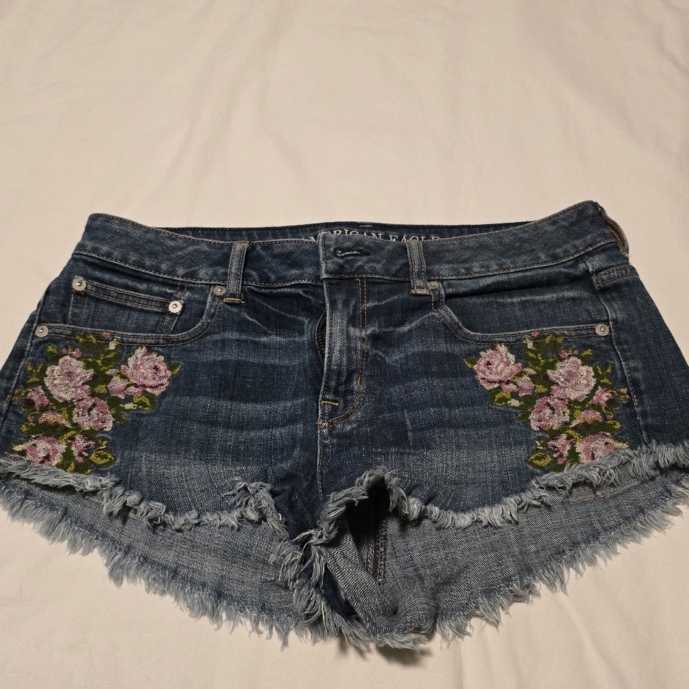 American Eagle Outfitters Blue and Pink Jean Shorts with Floral Embroidery